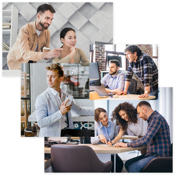 Company Assessment